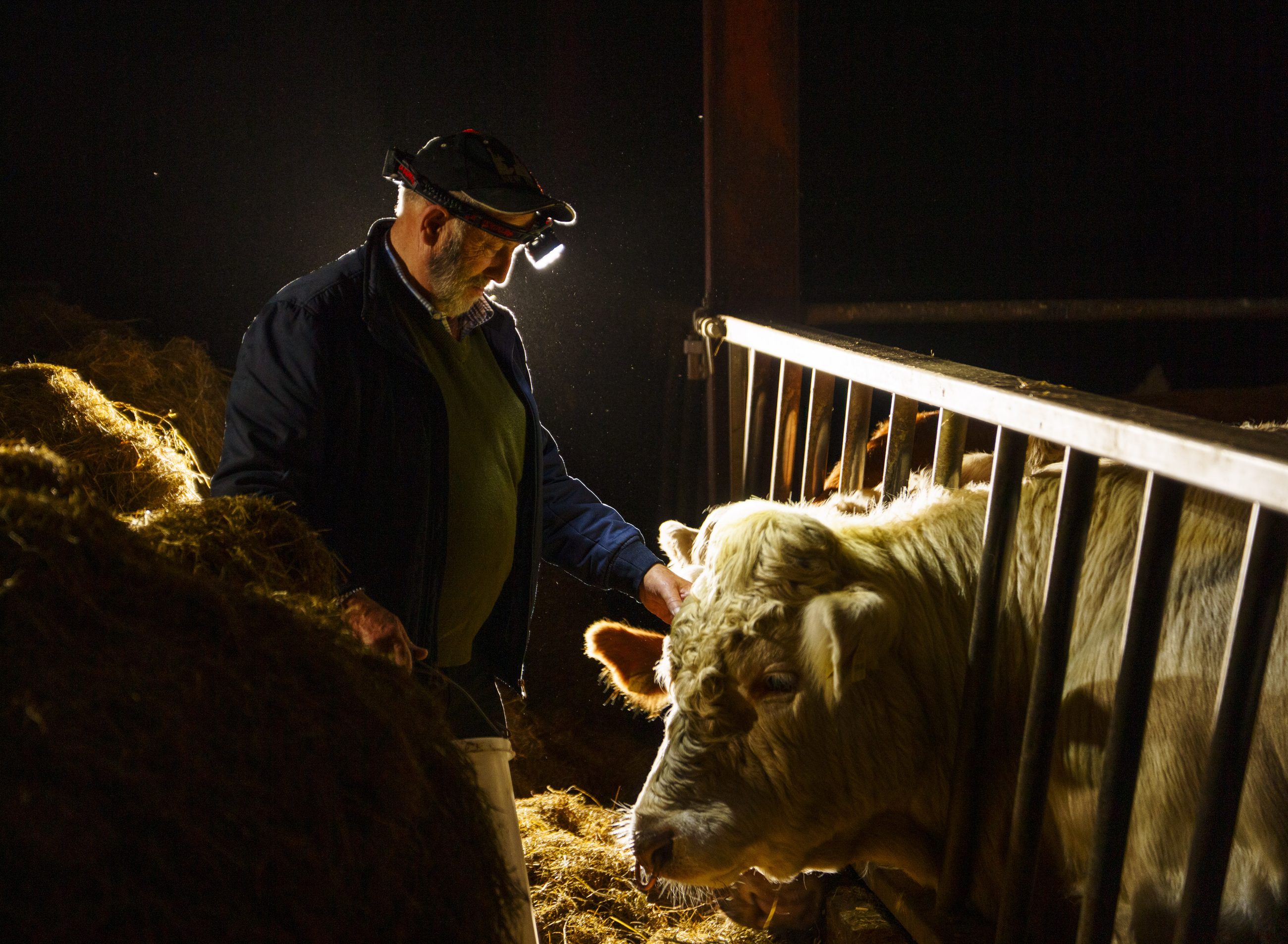The Healy-Rae brothers photographed on the campaign trail in Kerry