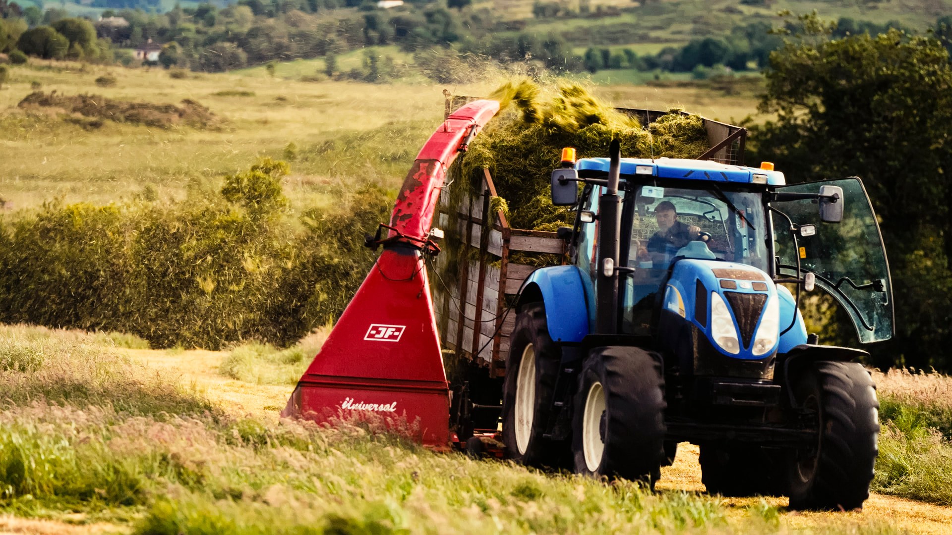 Silage being harvested by tractor and forage harvester in the Kerry hills