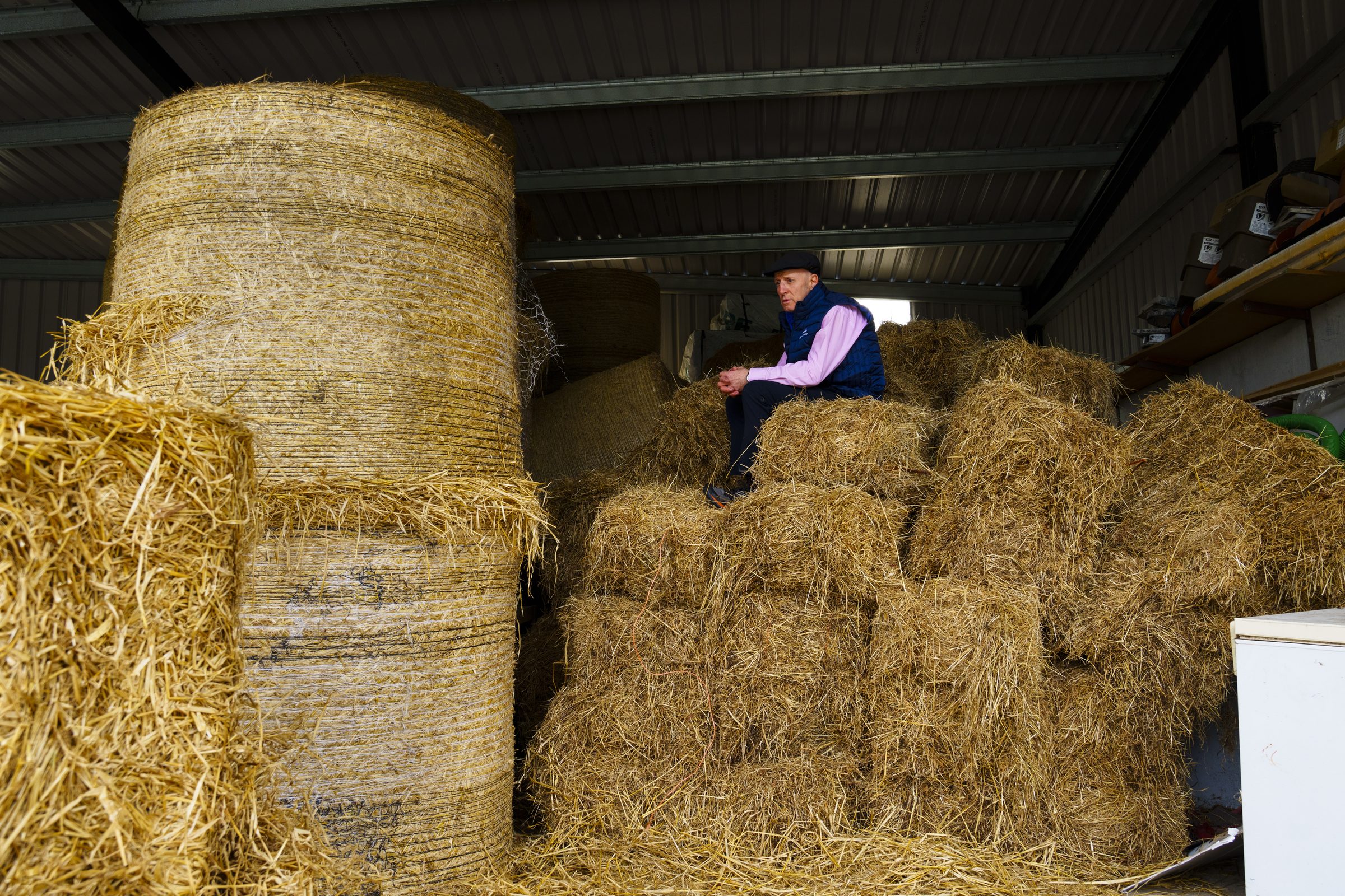 Film still from The Healy-Raes: Blood, Sweat & Tears