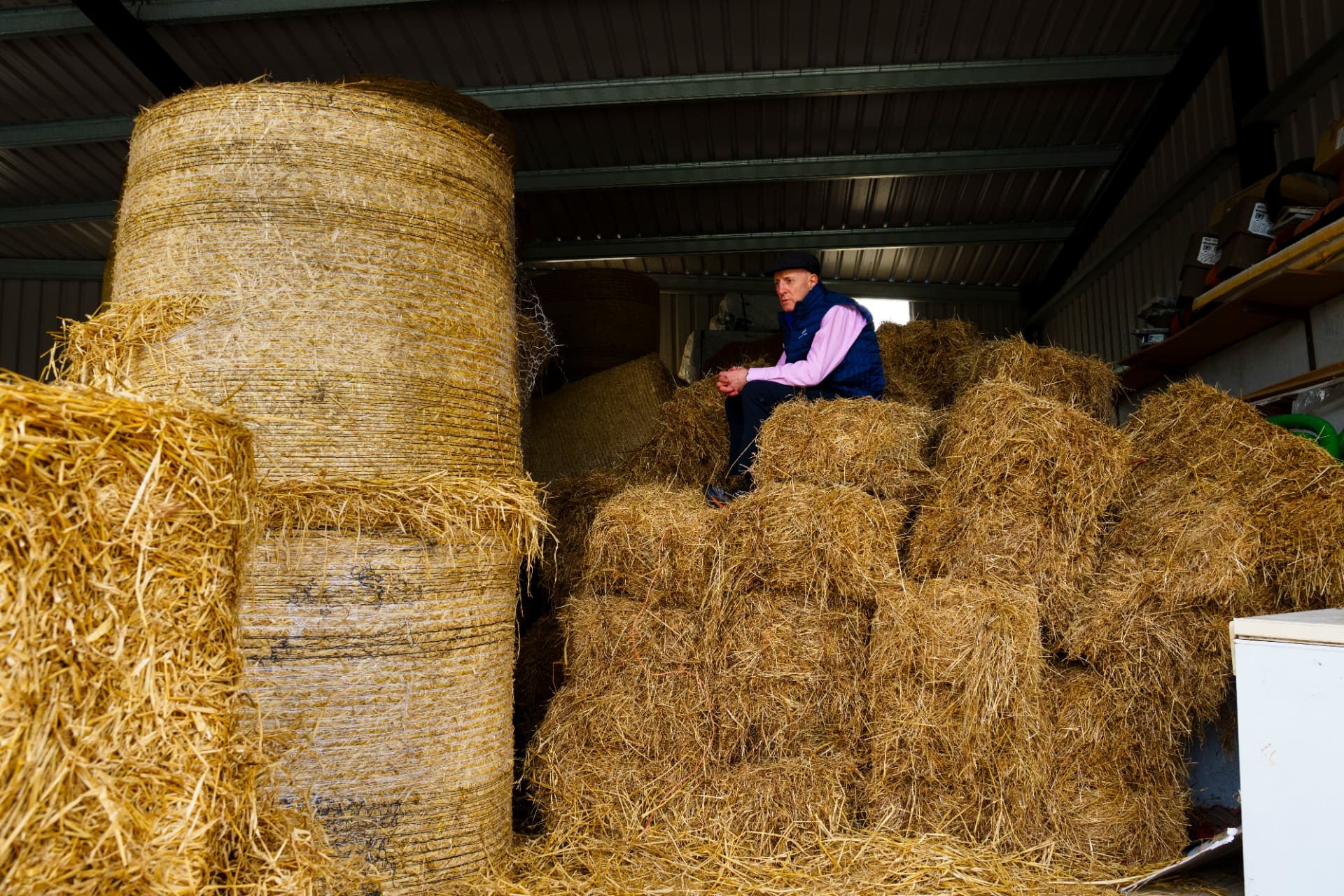 Film still from The Healy-Raes: Blood, Sweat & Tears