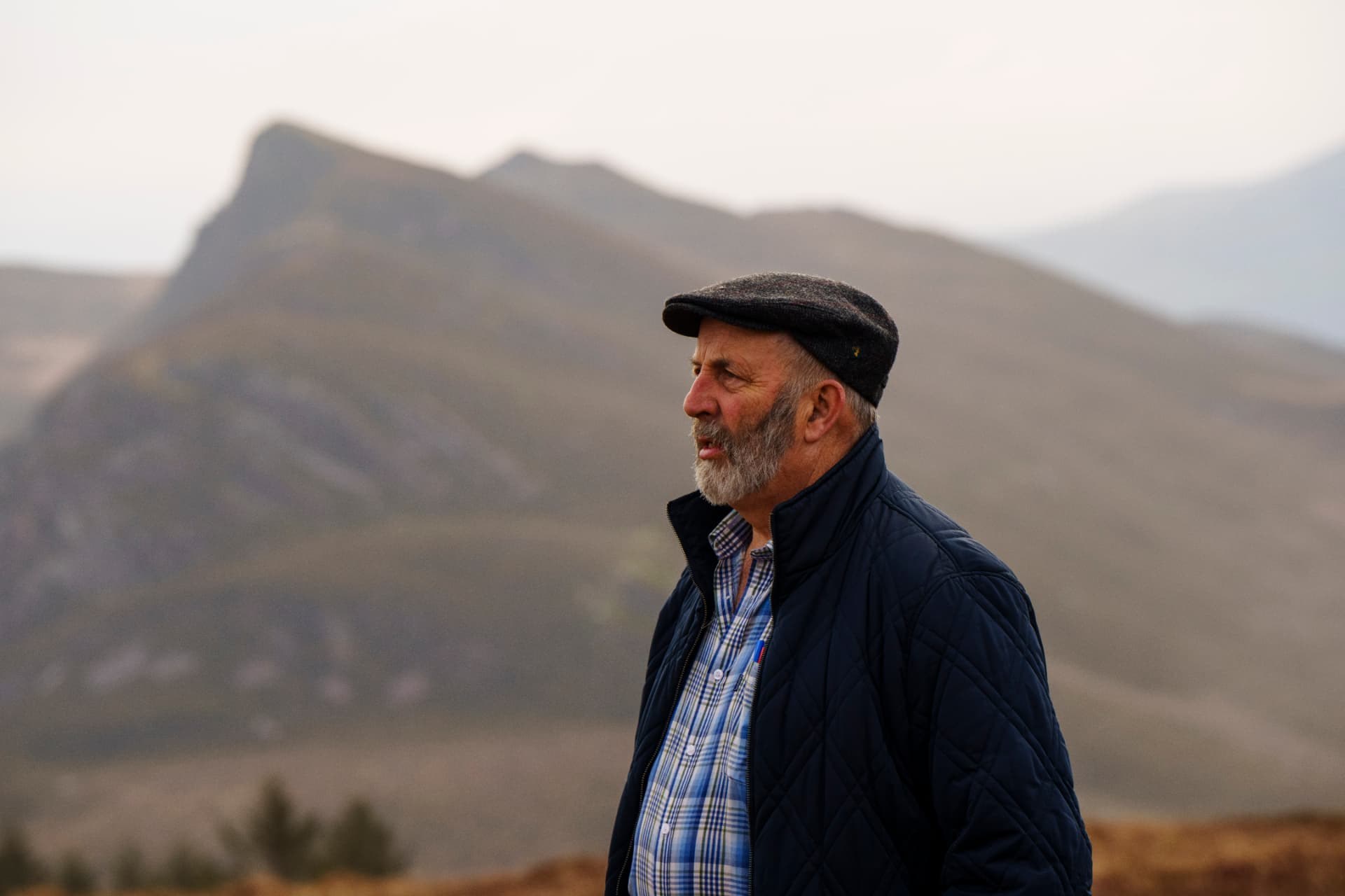Film still from The Healy-Raes: Blood, Sweat & Tears